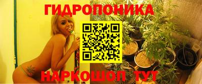 дмт Изобильный