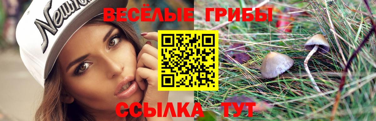 Псилоцибиновые грибы ЛСД  Вход с VPN  как найти закладки  Новоуральск  Галлюциногенные грибы ЛСД 